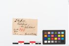 Etikett zu Goldbandbeschlag (NHMW-PRAE-024611)